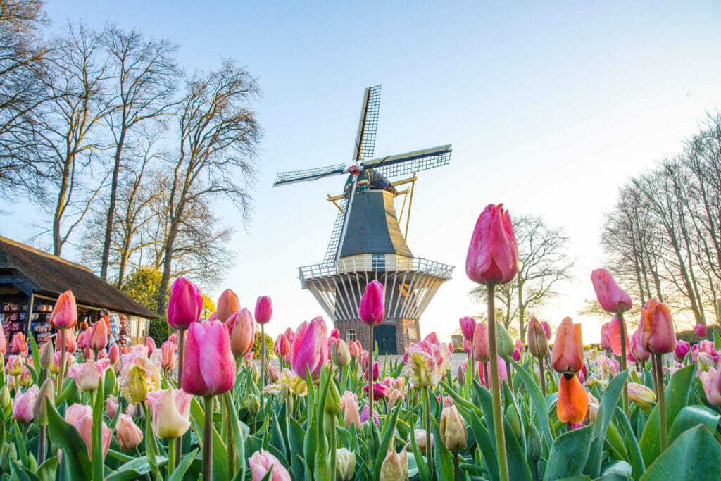 Keukenhof